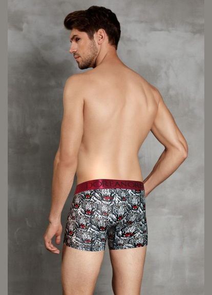 Мужские трусы-боксеры с ярким принтом 1812 доренс Doreanse (368787677)
