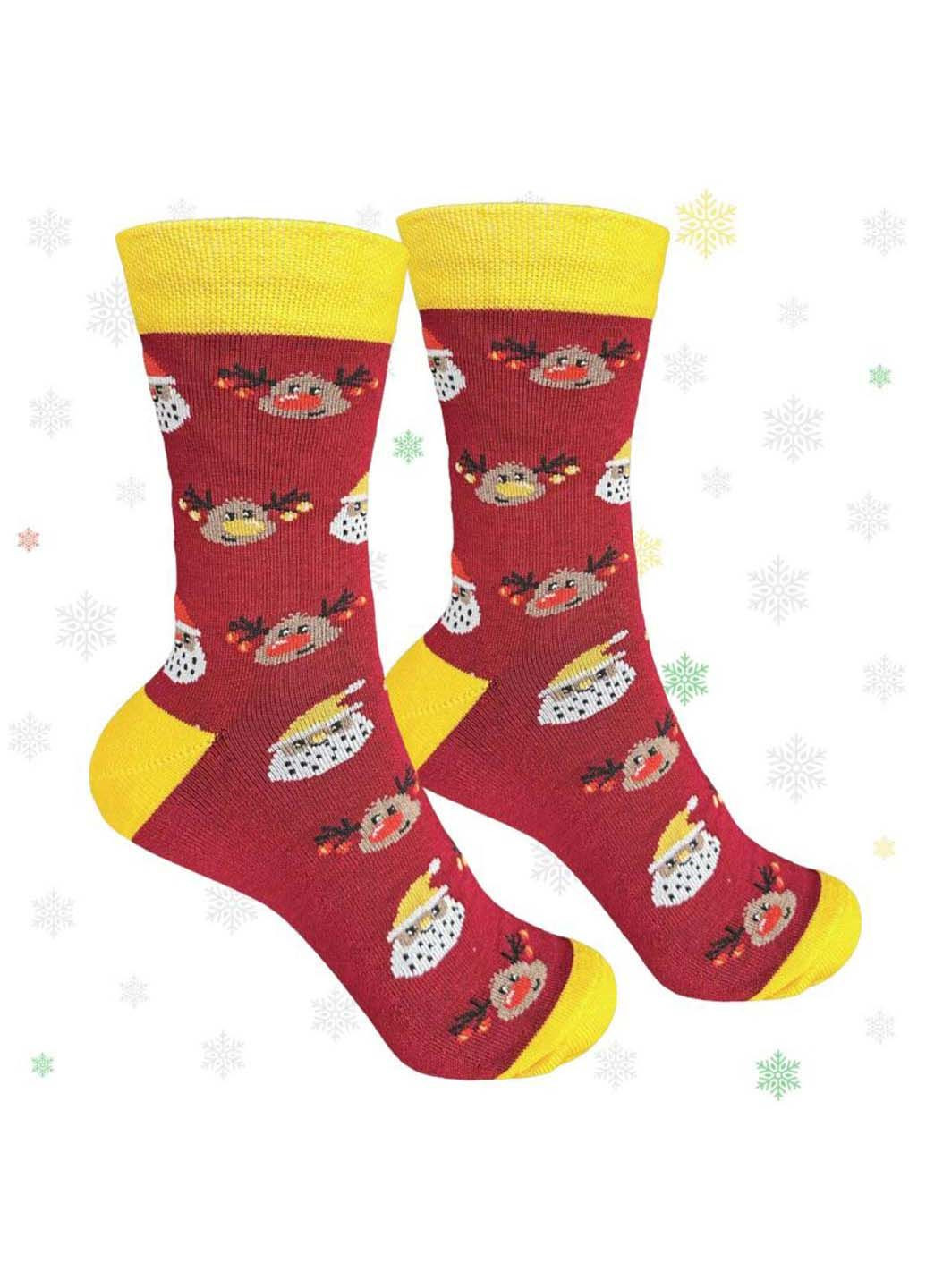 Комбіновані чоловічі шкарпетки 1and1 (348467125)