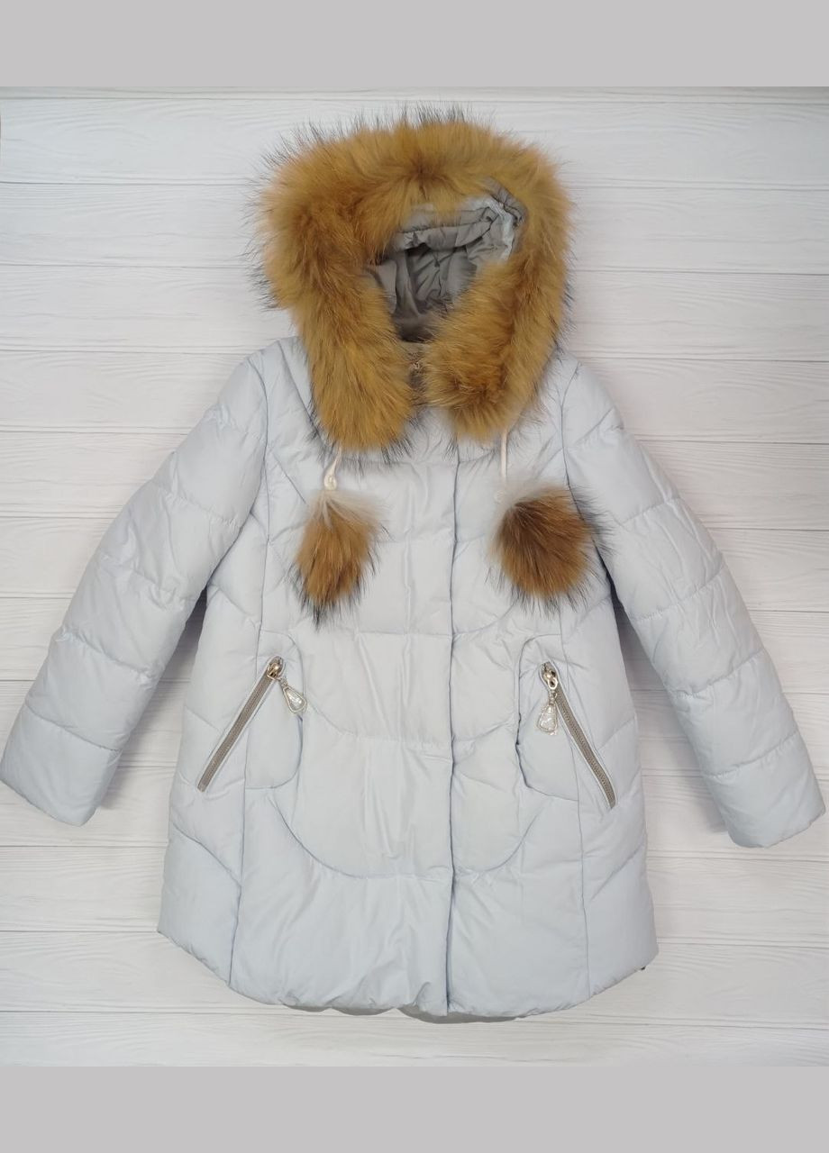 Голубая демисезонная пальто девственниц. 313 Lebo