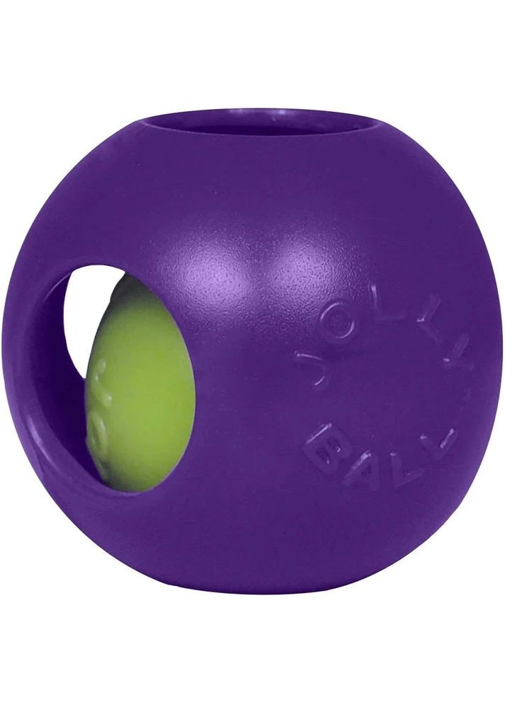 Іграшка Teaser Ball Violet, для собак 16 см Jolly Pets (363452719)