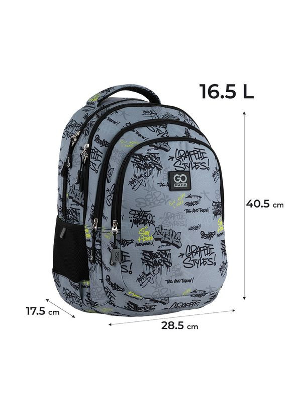 Рюкзак " "/GO25-162M-4/ Teens 162M-4 (1/10) GoPack (367761511)