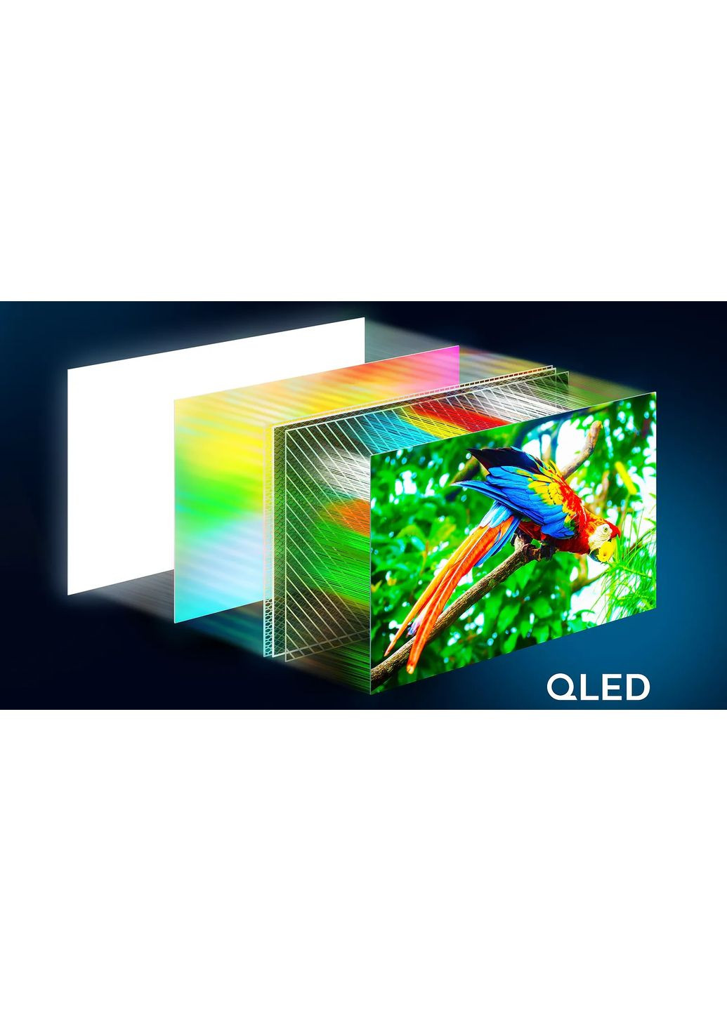 Телевізор 50" 50PUS7810/12 QLED 4K 60Hz Smart Titan OS Black Philips (362712672)