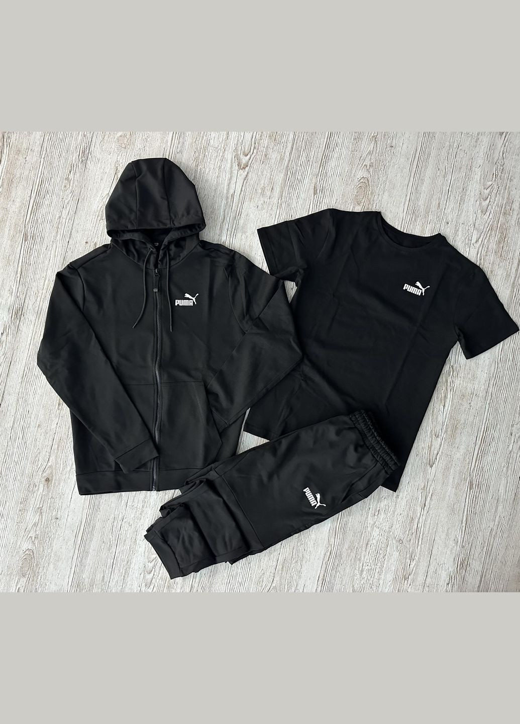 Демісезонний спортивний набір кофта на змійці+штани+футболка (двонитка) No Brand (316659817)