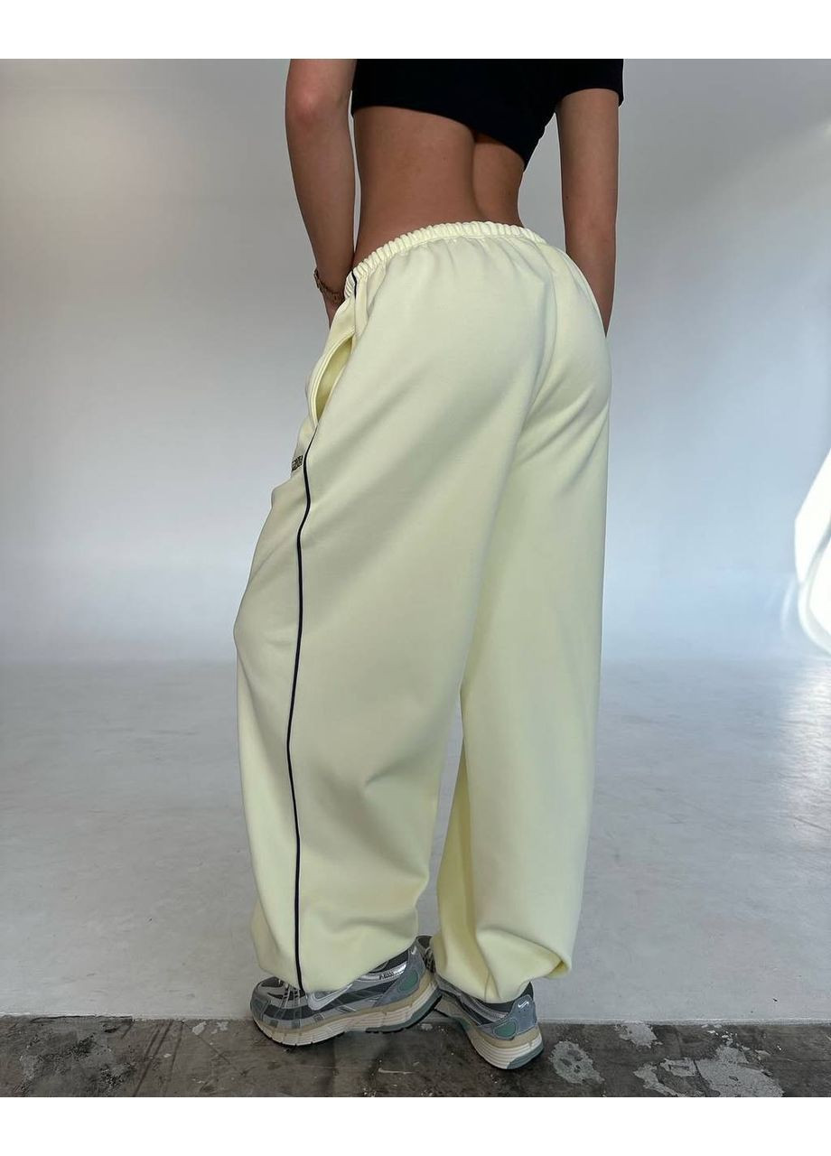 Жіночі утеплені штани вільного крою Avanti (361948826)