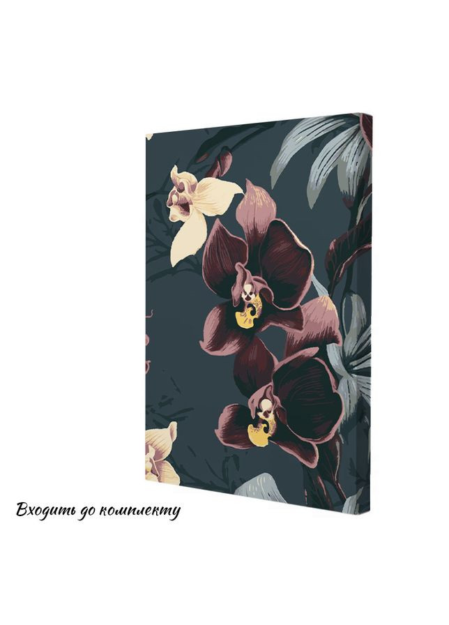 Картина за номерами Візерункові орхідеї 28x40 см (RB-0598) Riviera Blanca (303135950)