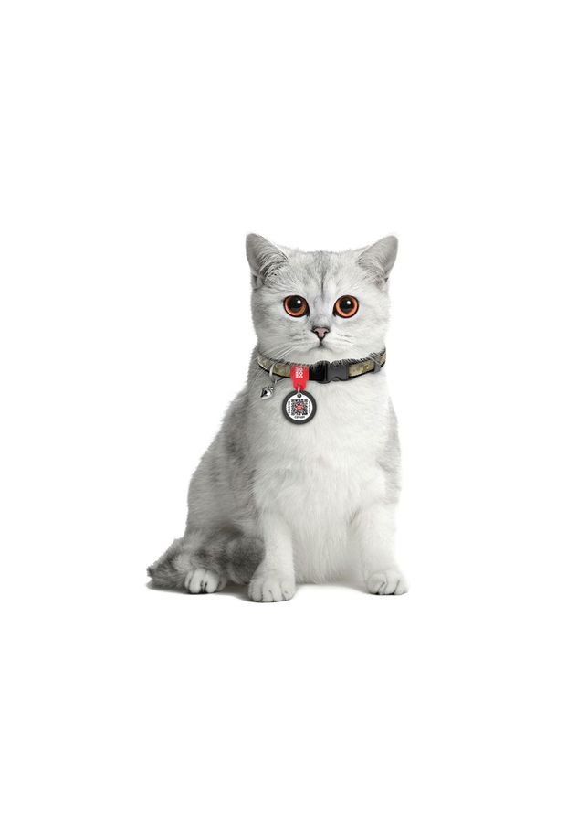 Нашийник для котів нейлоновий Nylon з QRпаспортом, малюнок "Мілітарі", пластиковий фастекс, XS, Ш 10 мм, Дов 20-30 см WAUDOG (279563857)
