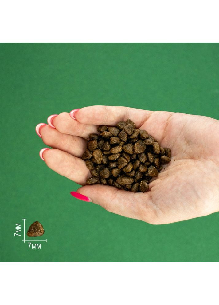 Сухой корм Chicken Mini Puppy для щенков мелких пород с курицей 600 г (8436538948309) Bravery (364787958)