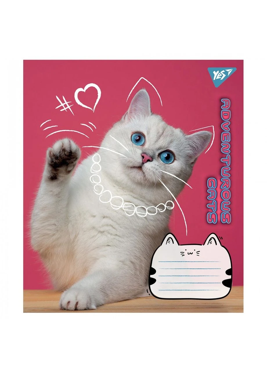 Зошит уч. " " 24арк.== /766656/ "Adventurous cats" (20/320) Yes (392424457)