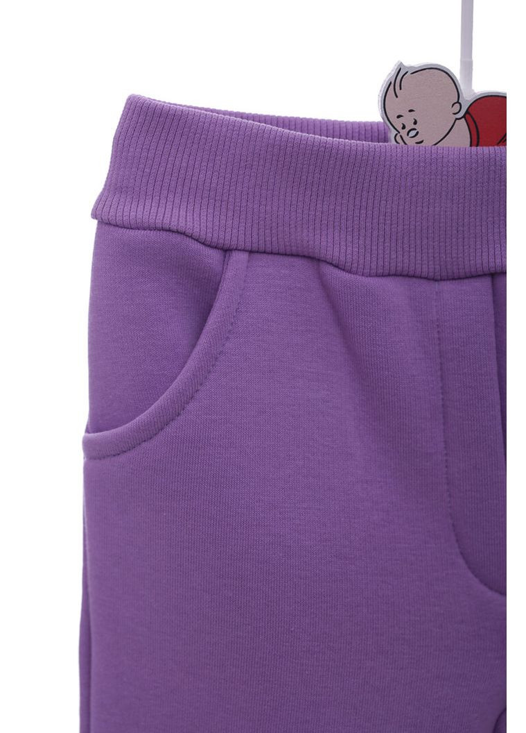 Фиолетовые демисезонные свободные штаны на флисе для девочки meow фиолетовые 104 см (44368) BABYKROHA