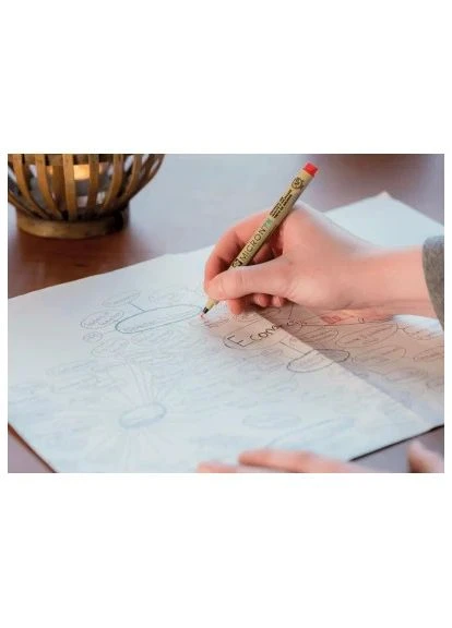 Лайнер Pigma Micron (0.3) 0,35 мм Чорний (084511306400) Sakura Pigma Micron (0.3) 0, 35 мм Чорний (401193552)