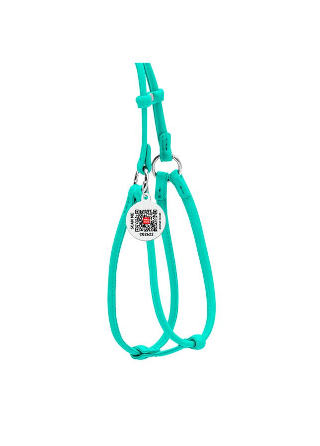 Шлей с поводком для собак кожаный Glamour с QR паспортом, круглый, Д 6 мм, А 42-60 см, В 46-64 см ментоловый WAUDOG (326836437)