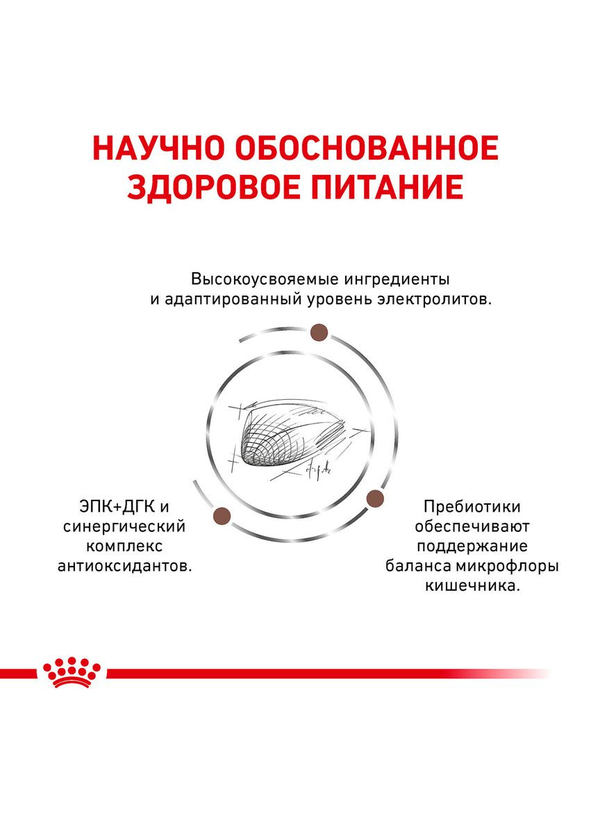 Диета Gastrointestinal для кошек при расстройствах пищеварения 4 кг (3182550771269) Royal Canin (279564263)