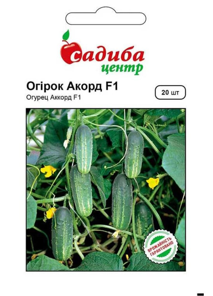 Огурец Аккорд F1 20 шт. Садиба (364534464)
