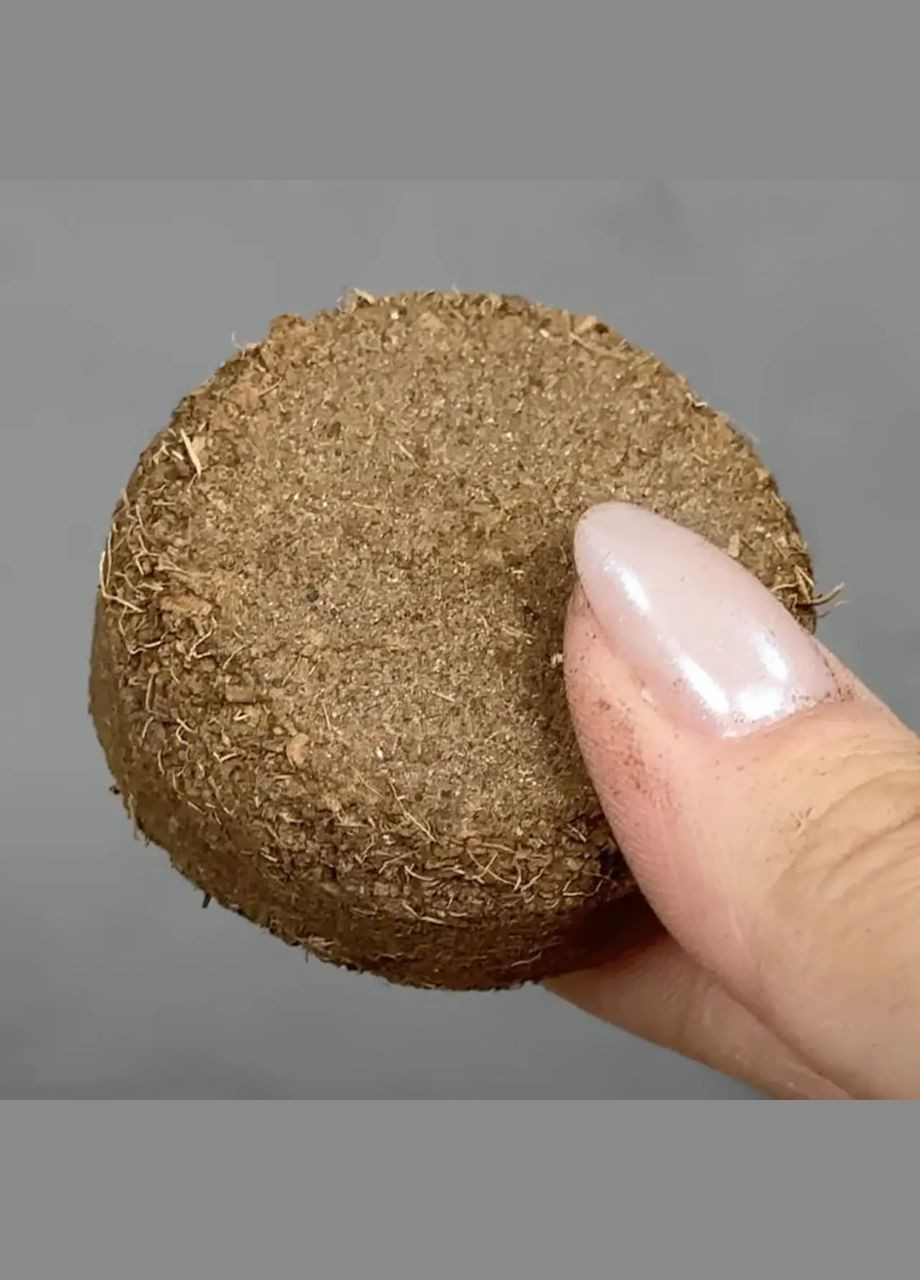 Ігровий набір 18415 "Ботанічні експерименти" ґрунт, теплиця, насіння, інструменти Fun Game (327797377)