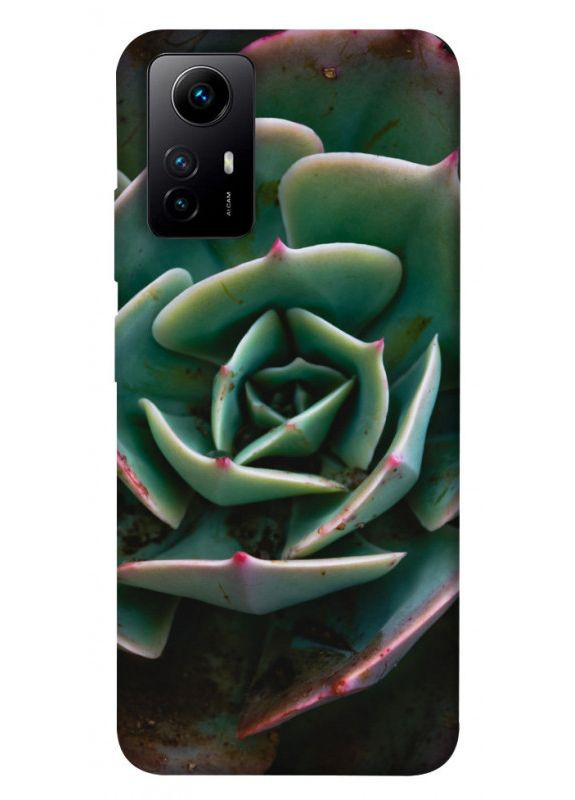 Чехол с принтом для Xiaomi Redmi Note 12S / на Ксяоме, сяоме, ксиоме редми ноте 12с Эхеверия No Brand (339676268)