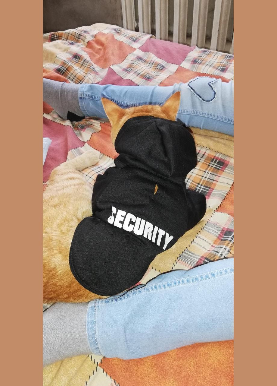 Худи для собак Pet Style "Security" Черный L No Brand - (323236640)