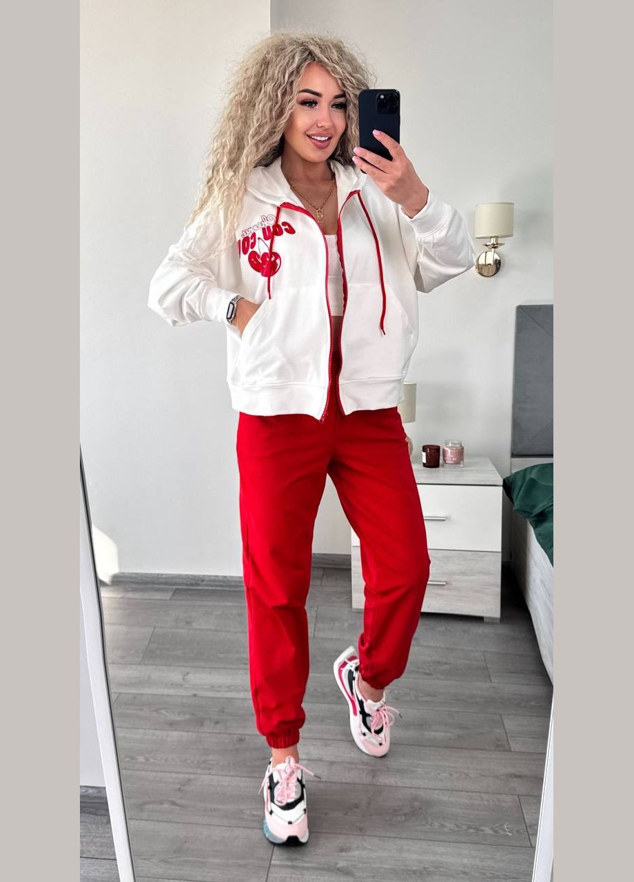 Жіночий костюм худі вільного крою та джогери MonCher (335013736)
