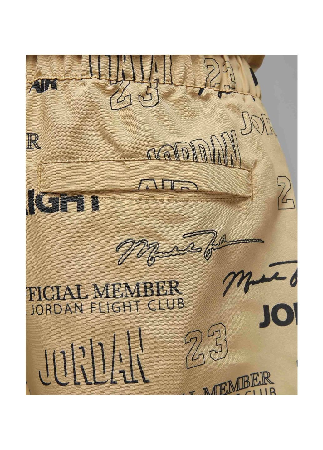Шорти чоловічі Flight Mvp Beige Air Jordan (366039243)