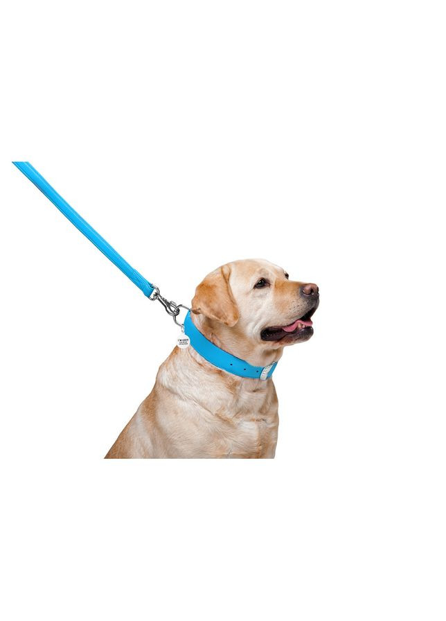 Поводок для собак кожаный WAUDOG Glamour, Ш 25 мм, Дл 122 см No Brand (363199425)