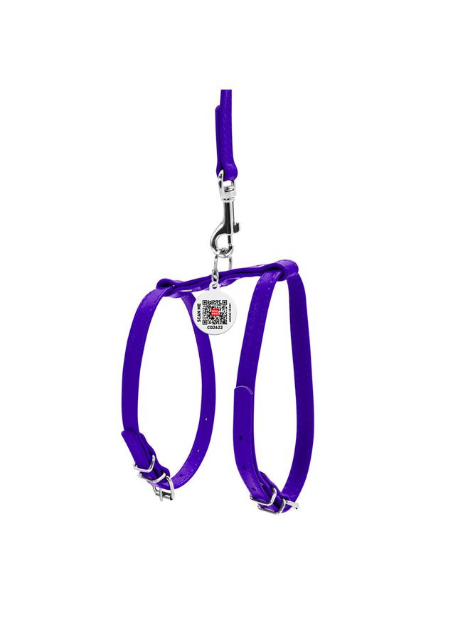 Шлея с поводком для собак кожаная WAUDOG Glamour с QR паспортом, Ш 12 мм, А 25-33 см, В 35-43 см No Brand (363200211)