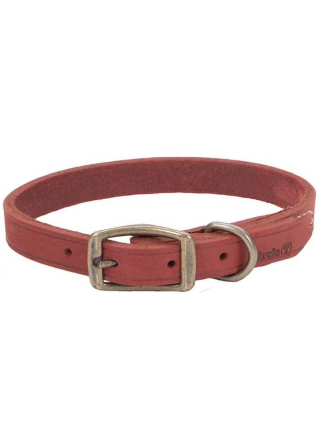 Ошейник для собак Rustic 2х45 см Coastal (291838786)