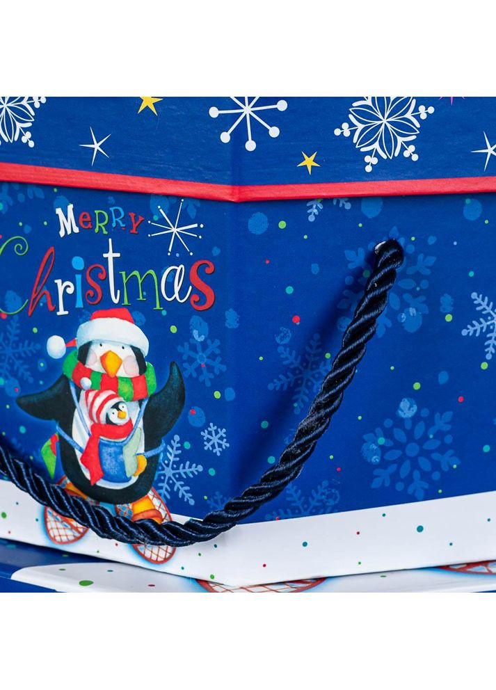 Набір з 3 коробок Пінгвін 21х21х16 No Brand (365758816)