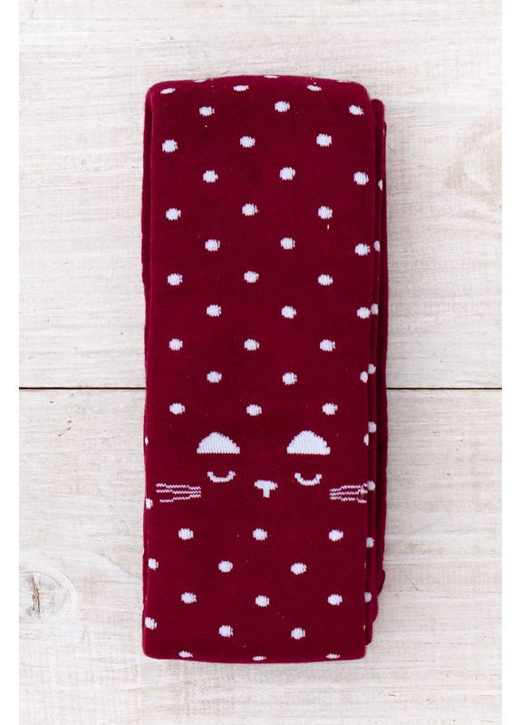 Колготки для девочки (зима) (p-15766) Носи своє (371247601)