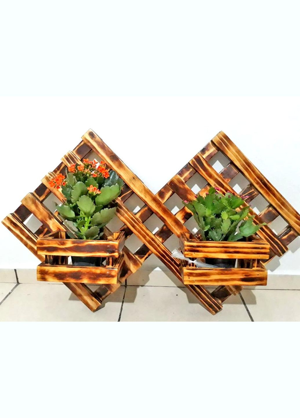 Полиця настінна для квітів з дерева Лондрина бенгала (ЦВС-003027) No Brand (328225374)