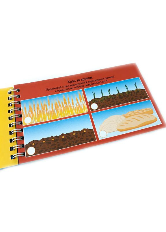 Учебная книга Цифры 4+ Игрушки 123003 Зірка (363265645)