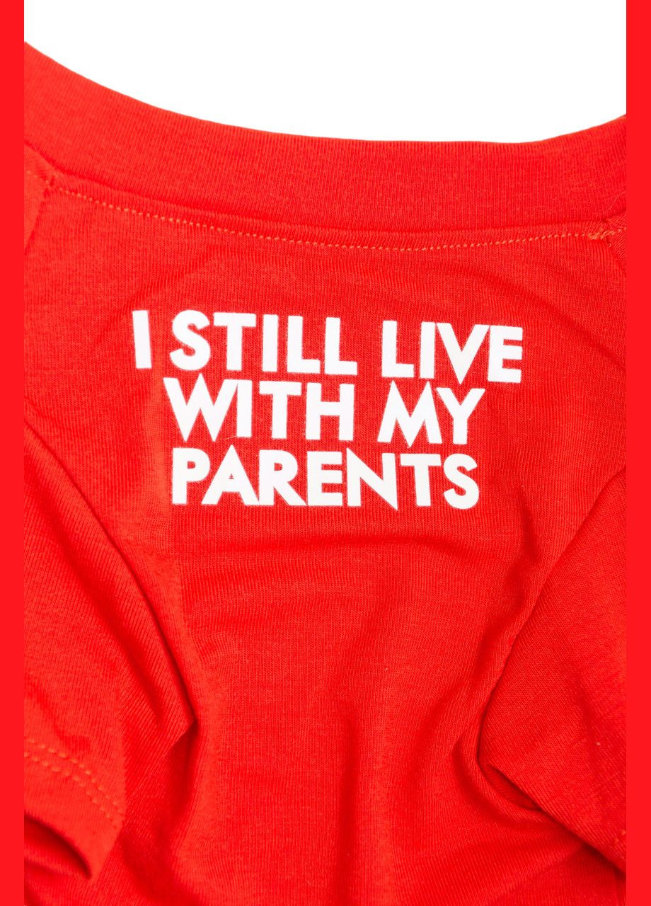 Футболка для котів Pet Style "I steel" Червона S No Brand - (323233468)