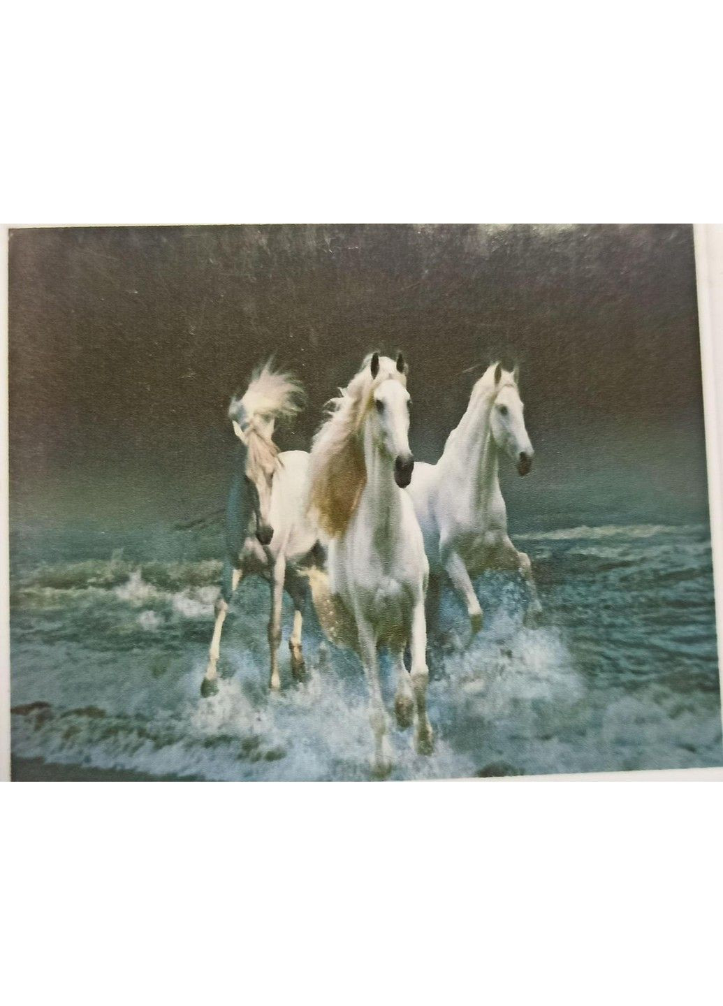 Набір алмазної вишивки "Стадо коней" табун упряжка хвиля пара повна викладка мозаїка 5d набори 30х40 см No Brand (332207758)