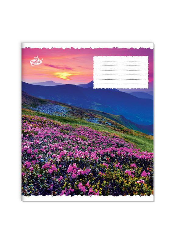 Зошит 12_арк. лінія " "/ Квіти та гори Бріск (342417190)