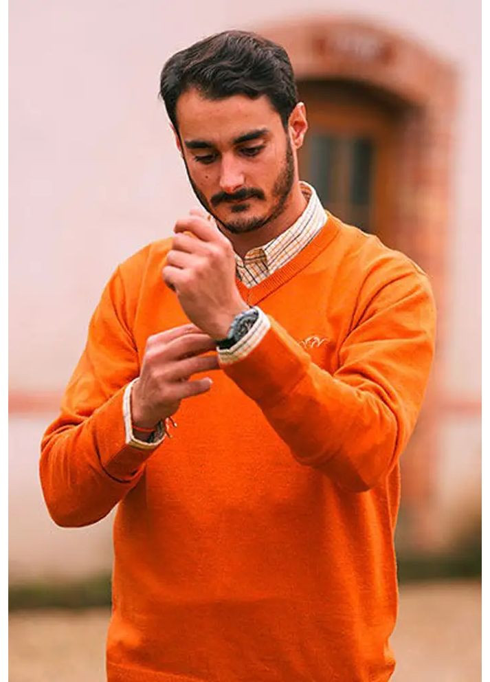 Кофта Blaser Active Outfits Men’s Merino V-Neck Sweater Rust No Brand (366545539)