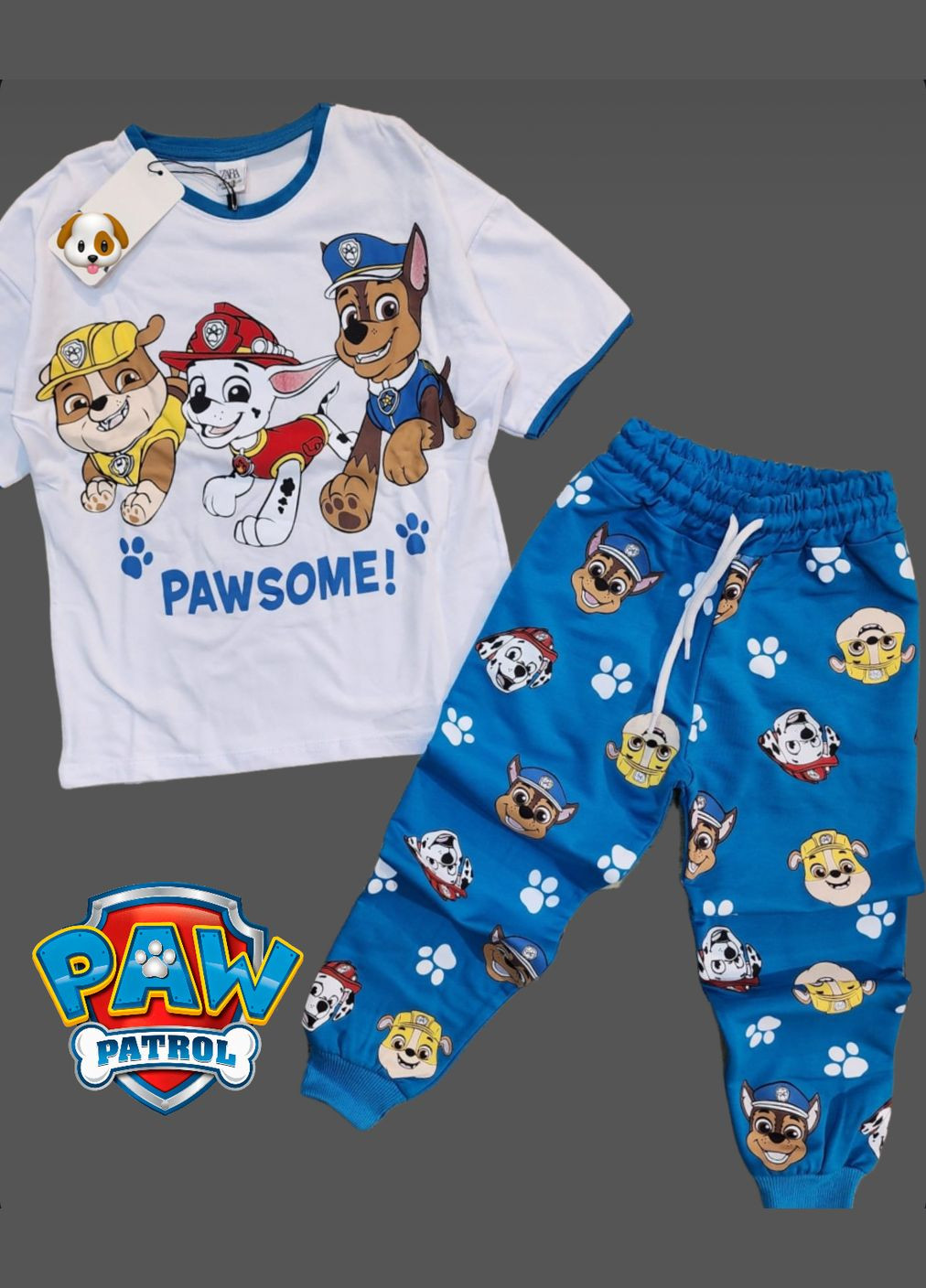 Спортивний костюм літній Paw Patrol (Щенячий Патруль) TRW875611 Disney футболка+штани (283298594)