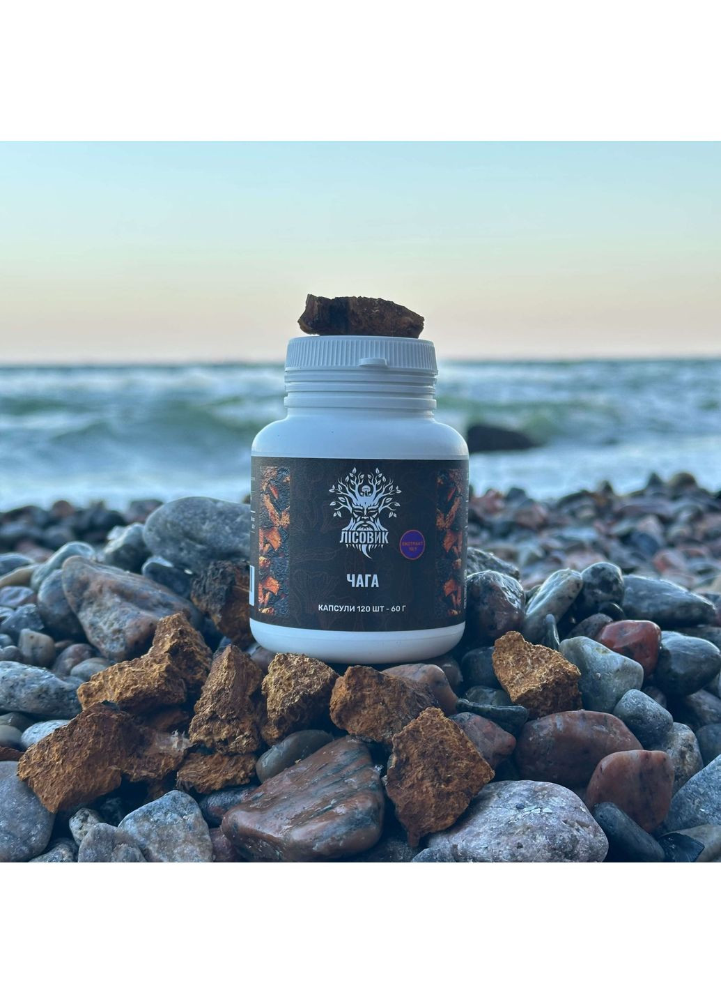 Чага березова, екстракт 10:1, капсули 120 шт по 0.5 г Лісовик (334711205)