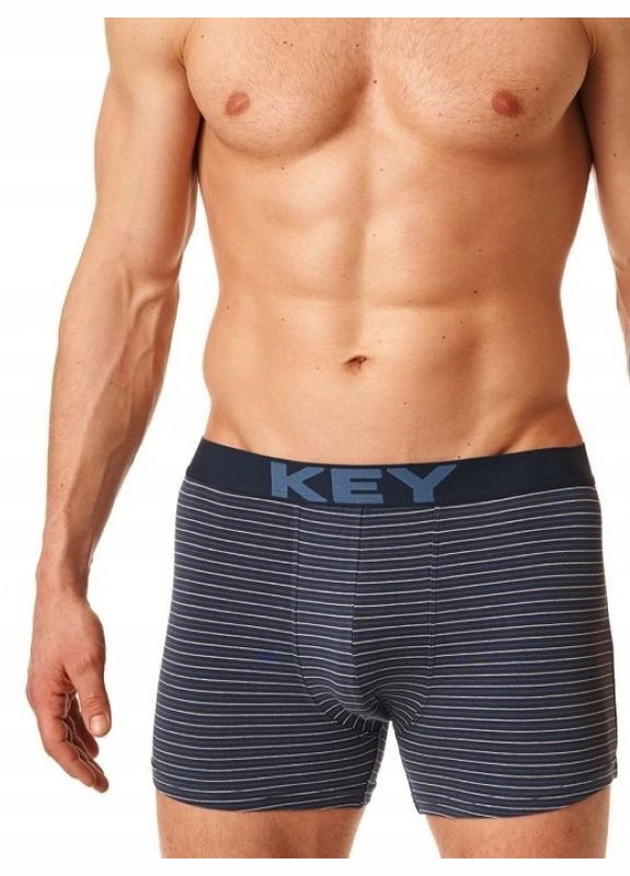 Мужские трусы шорты SZORTY MXH-399 B22 GR р. Key Боксери (301363099)