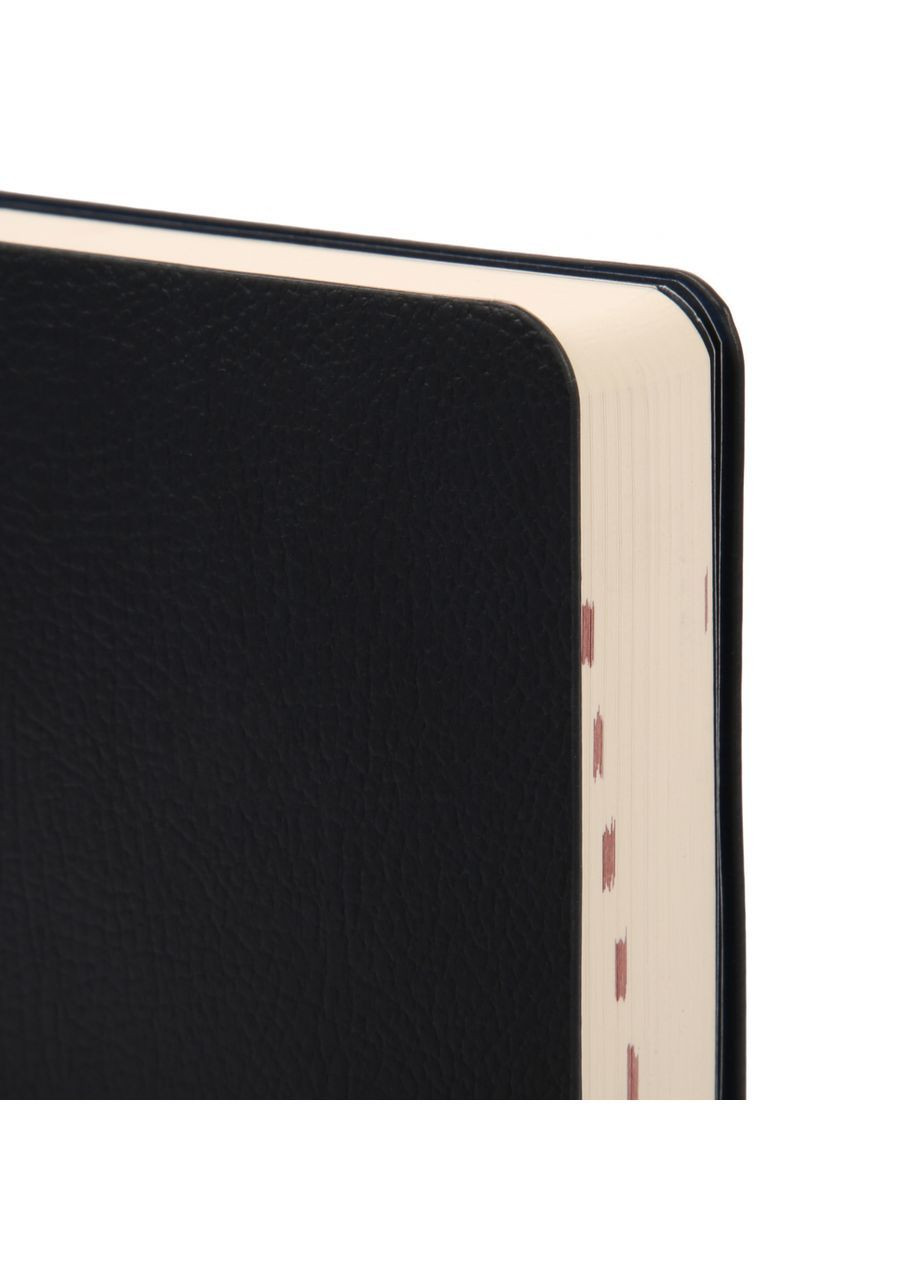 Ежедневник 12х20 см 2026 Alpha 352 с Темно-синий (252629) Leo Planner (362587715)