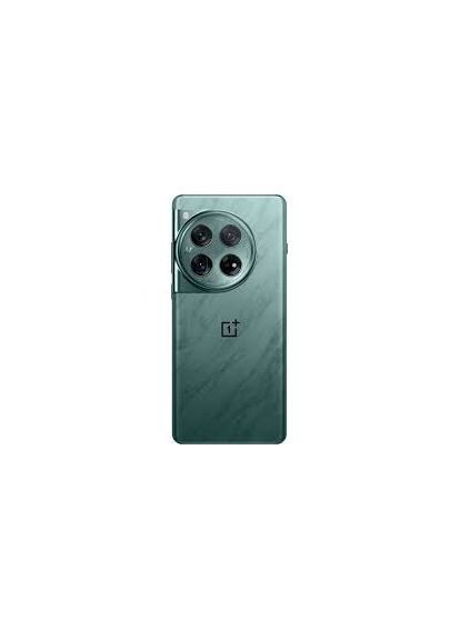 Смартфон 12 12/256GB Flowy Emerald OnePlus (370439342)