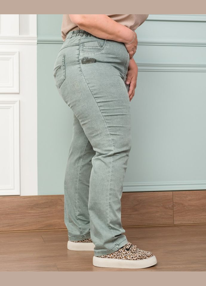 Джинсы DJ 8903 Alenka Plus - (354699698)