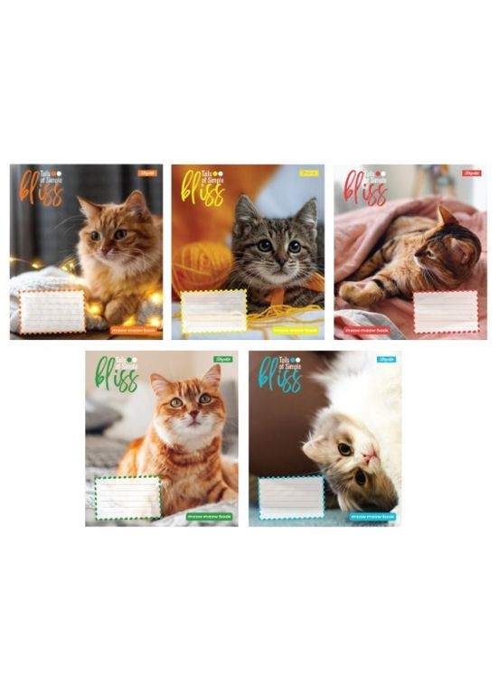 Тетрадь 12_л. КОСА линия " "/ Bliss 1 Вересня (344585682)