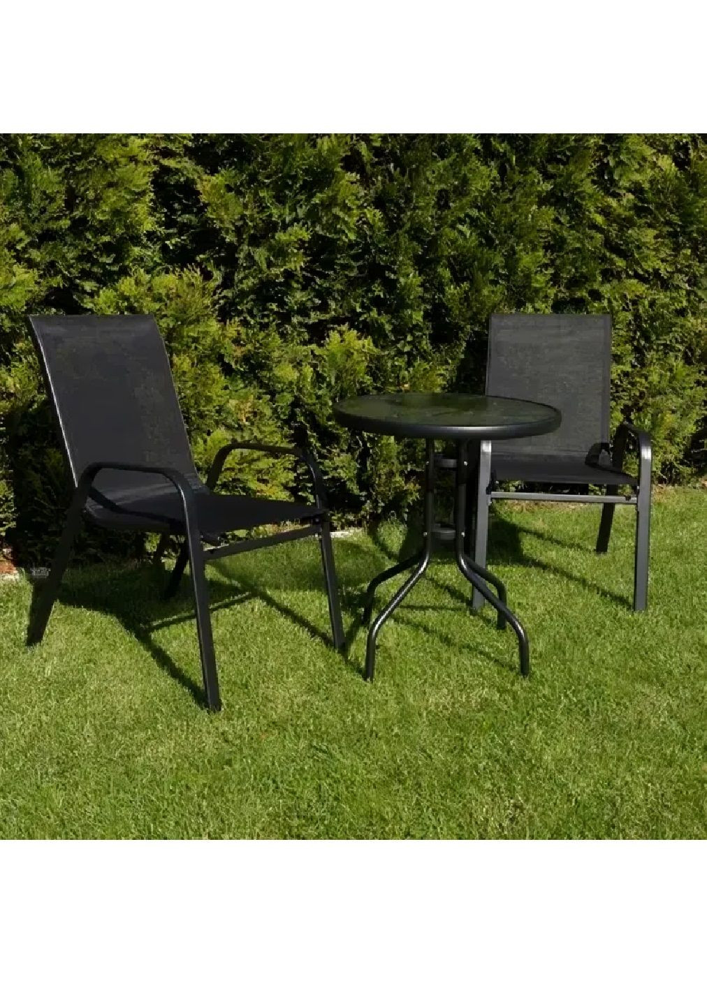 Набор стульев с железным каркасом подлокотниками для сада дачи балкона террасы 2 штуки 56,5x71x88 см (479562-Prob) Черный Unbranded (322265626)