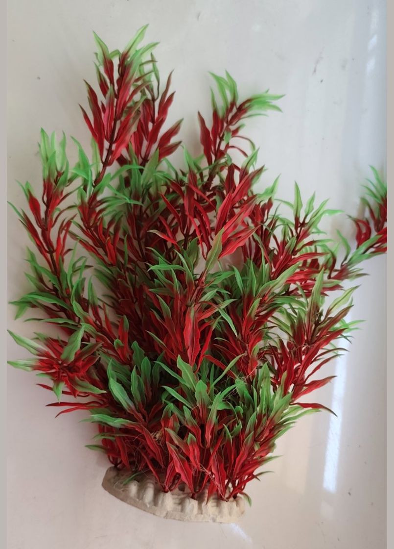 Растение водоросли искусственное, Декорация для аквариума пышная красно/зеленая 29 см No Brand (347067659)