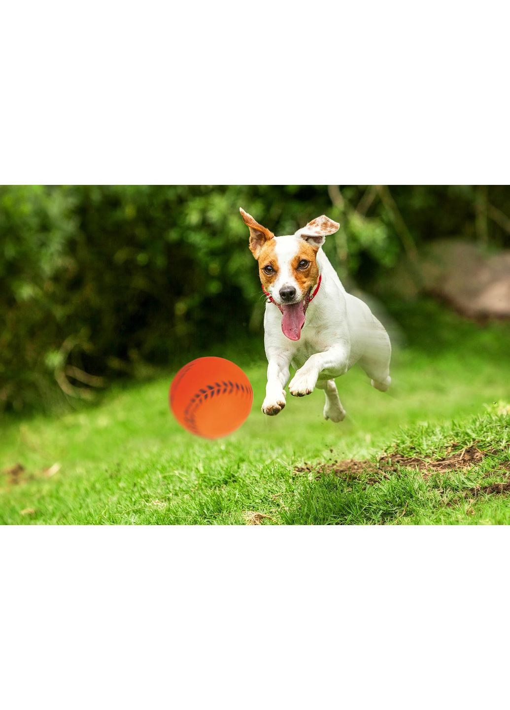 Игрушка для собак Z714 Мяч бейсбольный Ø4см Happet (353688768)