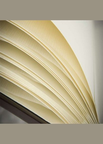 Фотоальбом 40 стр. 24x29см DBCS20 MIRACLE pink Gedeon (299843797)