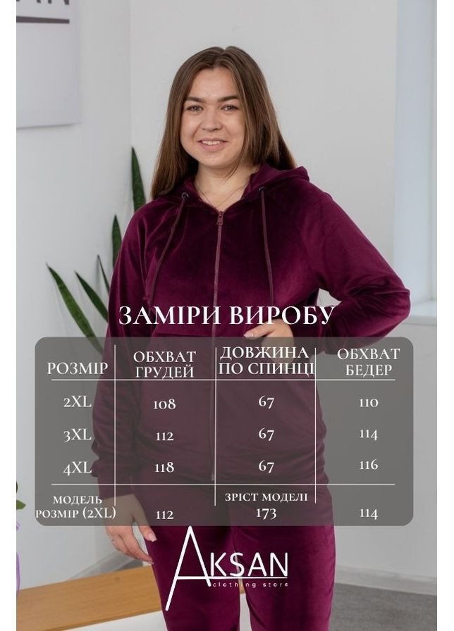 Жіночий спортивний костюм велюр демісезонний худі та штани джогери 23.1860 52( ) AKSAN (338182144)