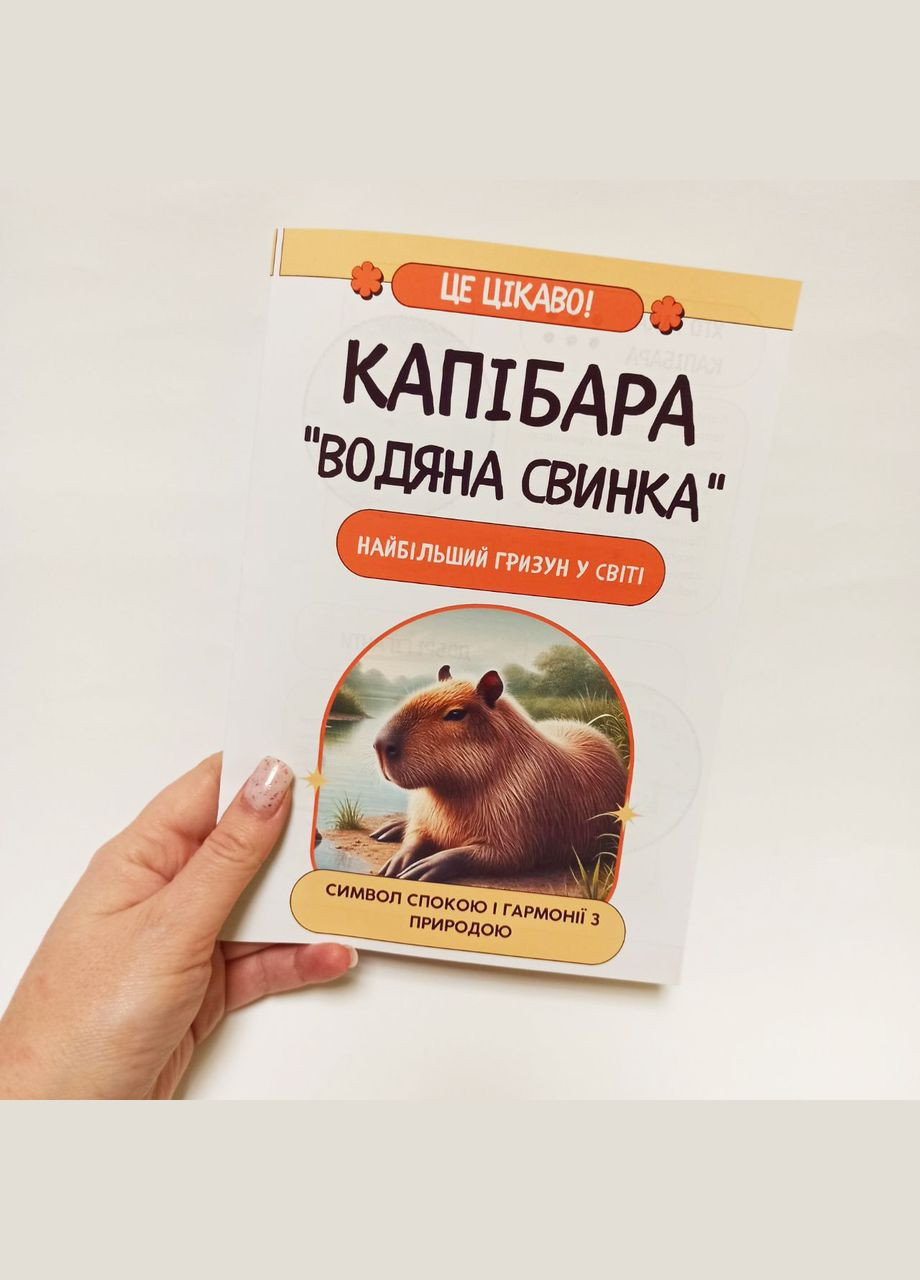 Подарунковий набір Капібара - м'яка іграшка, сумочка, пін, блокнот, листівка, наклейки No Brand (315155396)