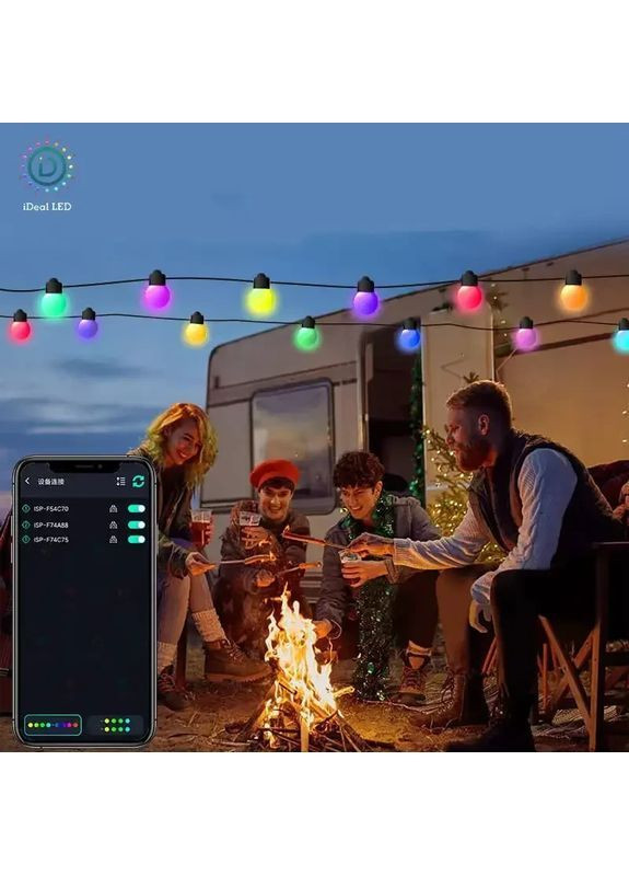 Умная гирлянда Матовый шарик с пультом управления и управлением с телефона SFK-03 Bluetooth USB 10 м No Brand (367166411)