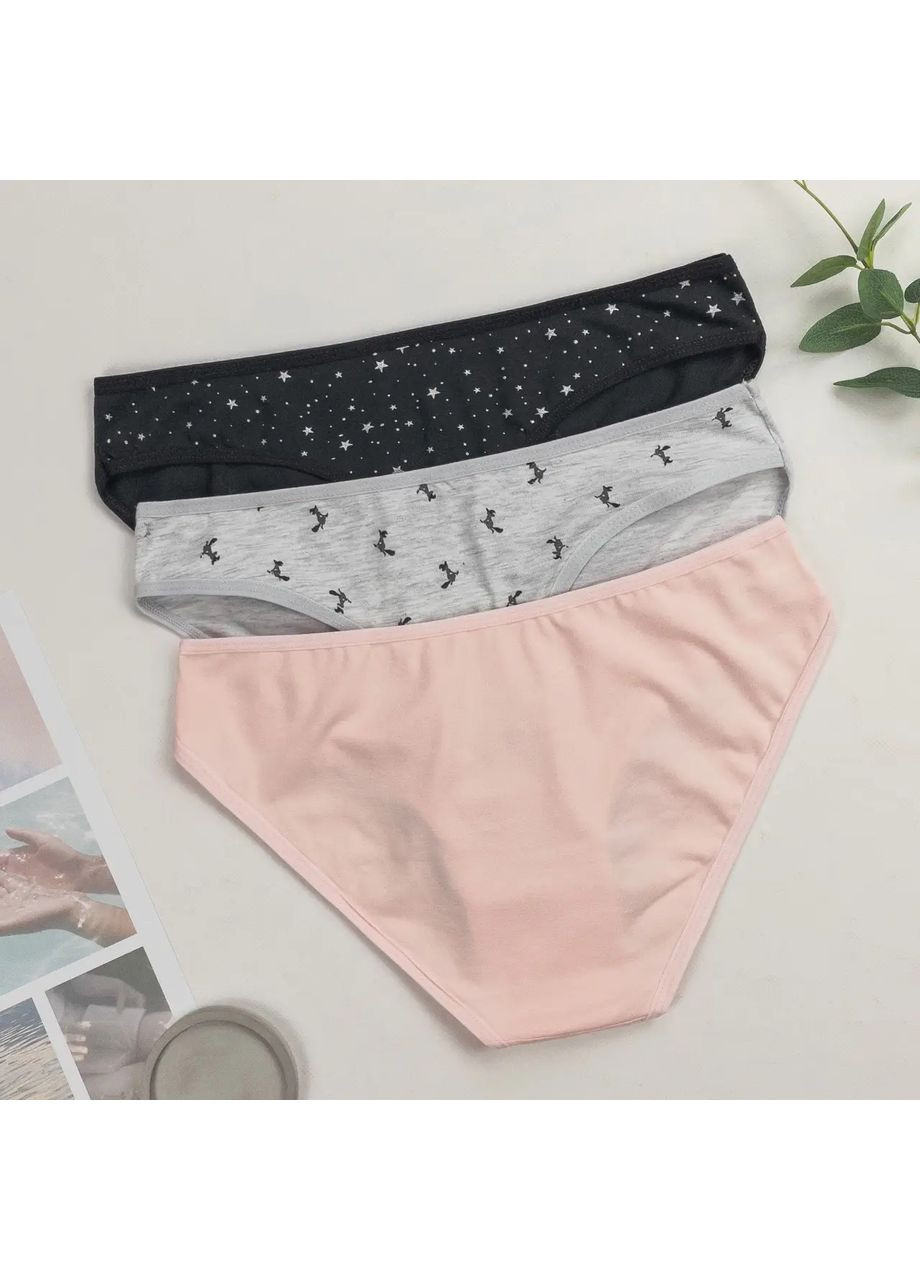 Трусики-слип женские тройки 3 шт Dominant (355890350)