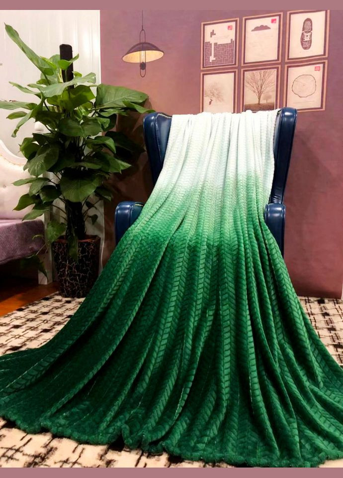 Плед-покрывало микрофибра салатово-зелёный градиент 200х230 см Colorful Home (282843072)
