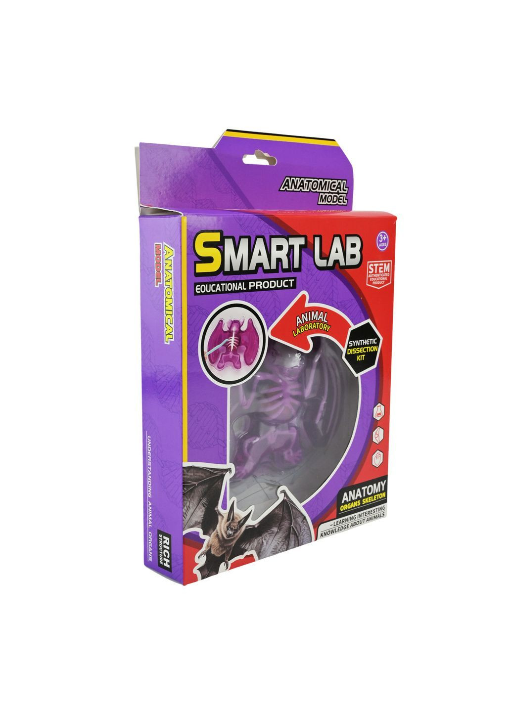 Біологічний набір для експериментів "Летюча миша" зі скелетом та внутрішніми органами Smart Lab - No Brand 804B (371926599)